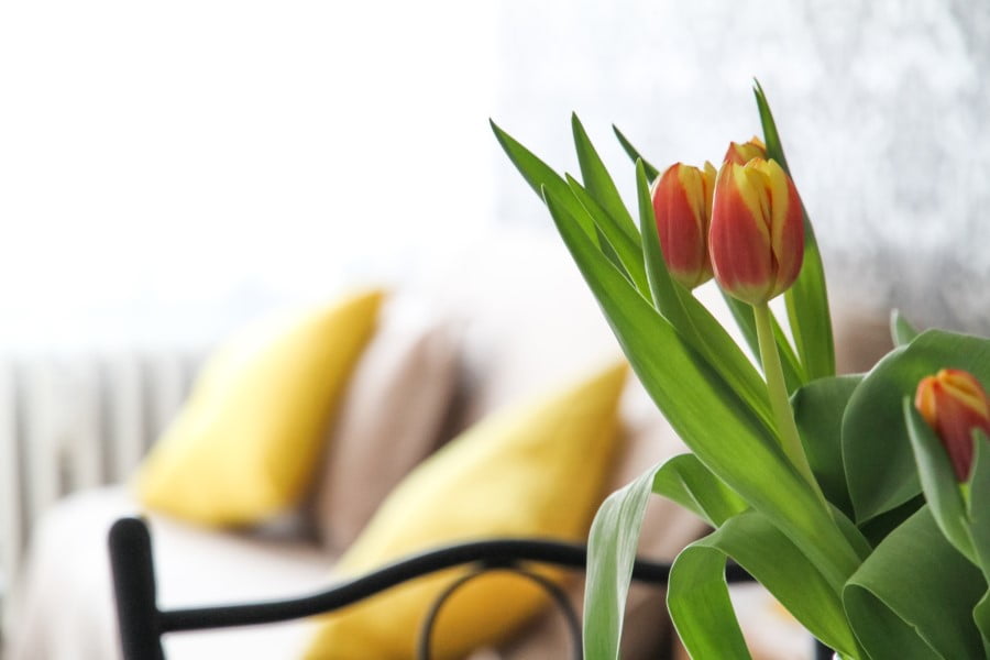 Some of the new trends for dressing up your home.