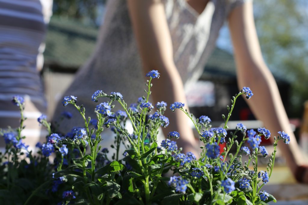 Get Your Yard Ready For The Summer Selling Season.