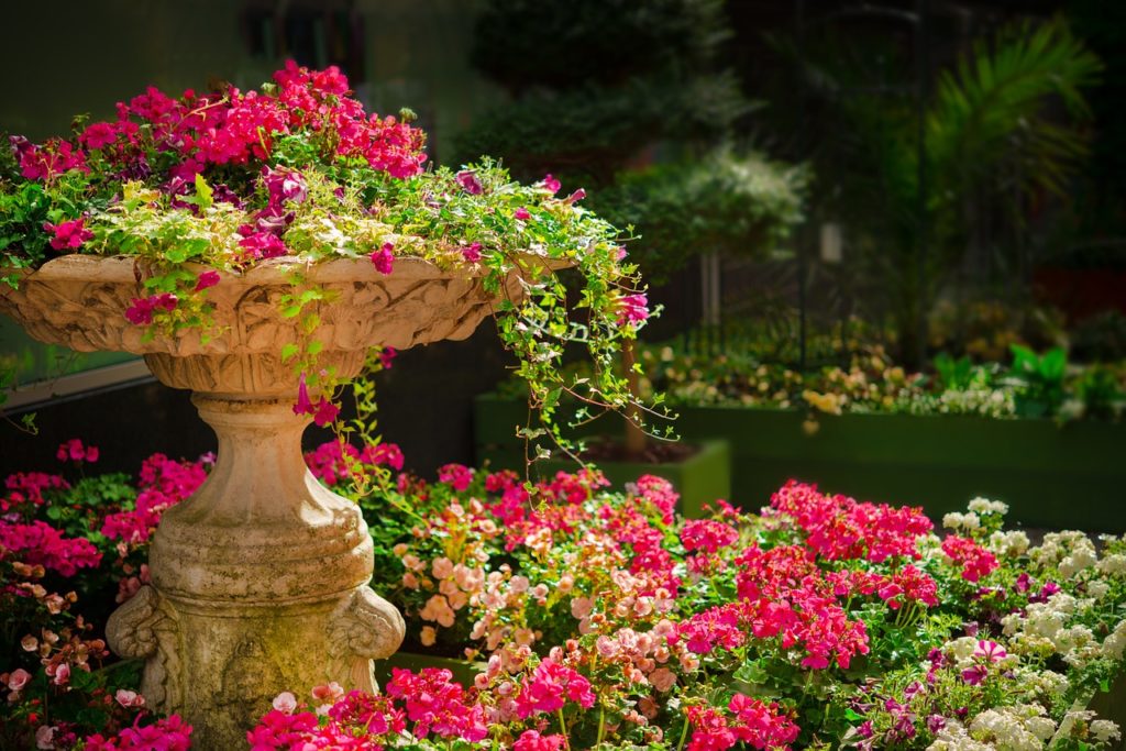Designing Your Summer Garden! Make your home gorgeous!