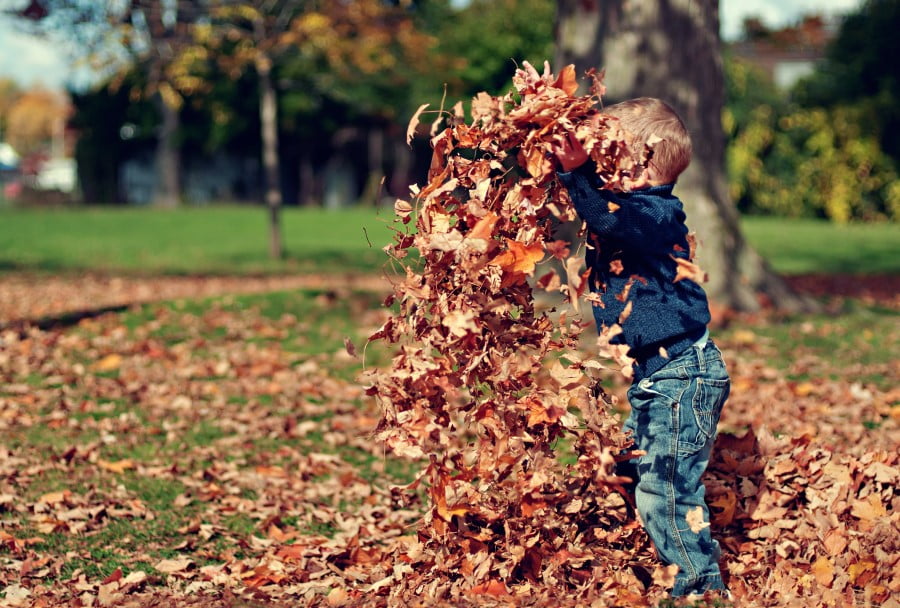 Preparing Your Home To Sell This Fall.