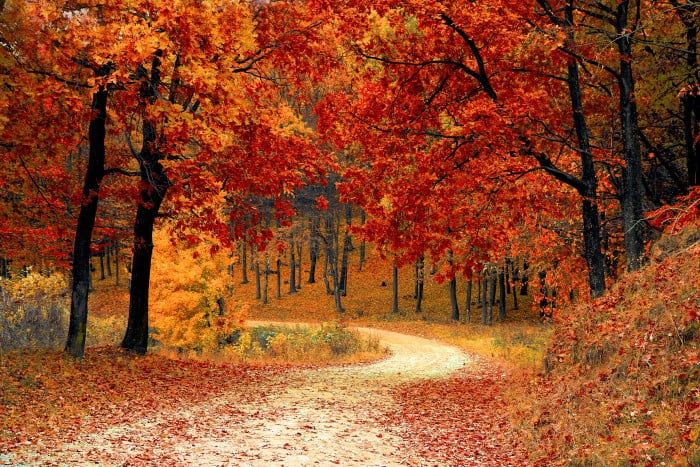 Selling Your Home This Fall!